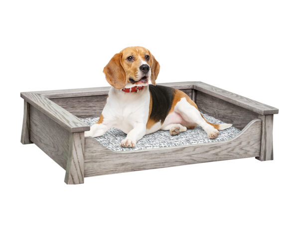 Springville Large Pet Lounge with Pad