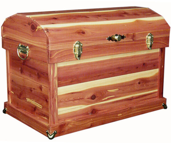 Cedar Trunk - 24"