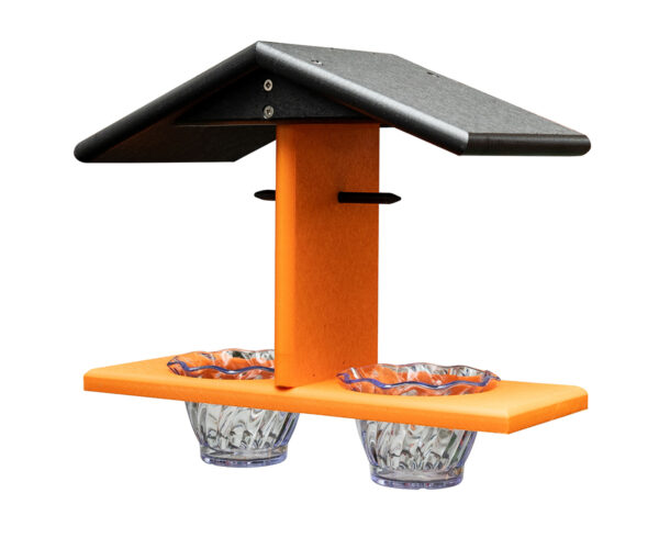 Double Oriole Feeder