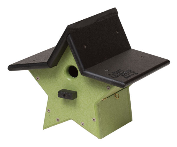 Star Wren or Chickadee House